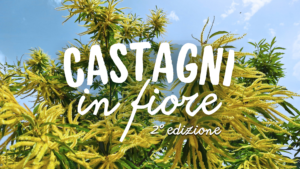 Castagni in fiore: Passeggiata naturalistica e laboratorio creativo da Terra Promessa